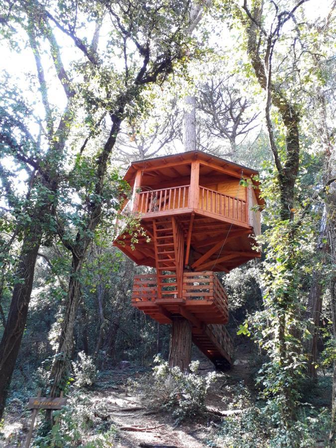 Cabanes Dosrius Canyamas ภายนอก รูปภาพ