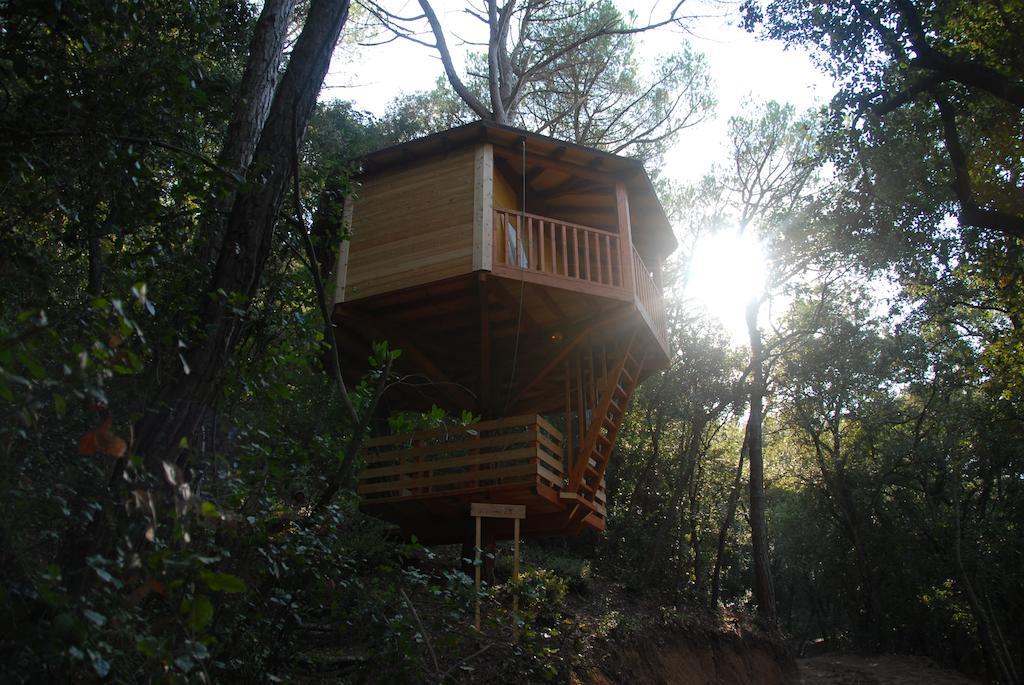 Cabanes Dosrius Canyamas ภายนอก รูปภาพ
